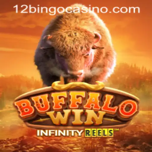 BuffaloWin: A Riveting Journey in the World of 12Bingo
