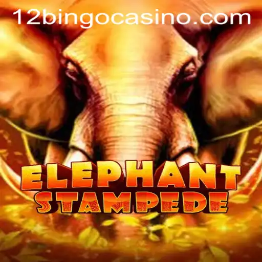 ElephantStampede: A New Gaming Adventure Captivating Enthusiasts